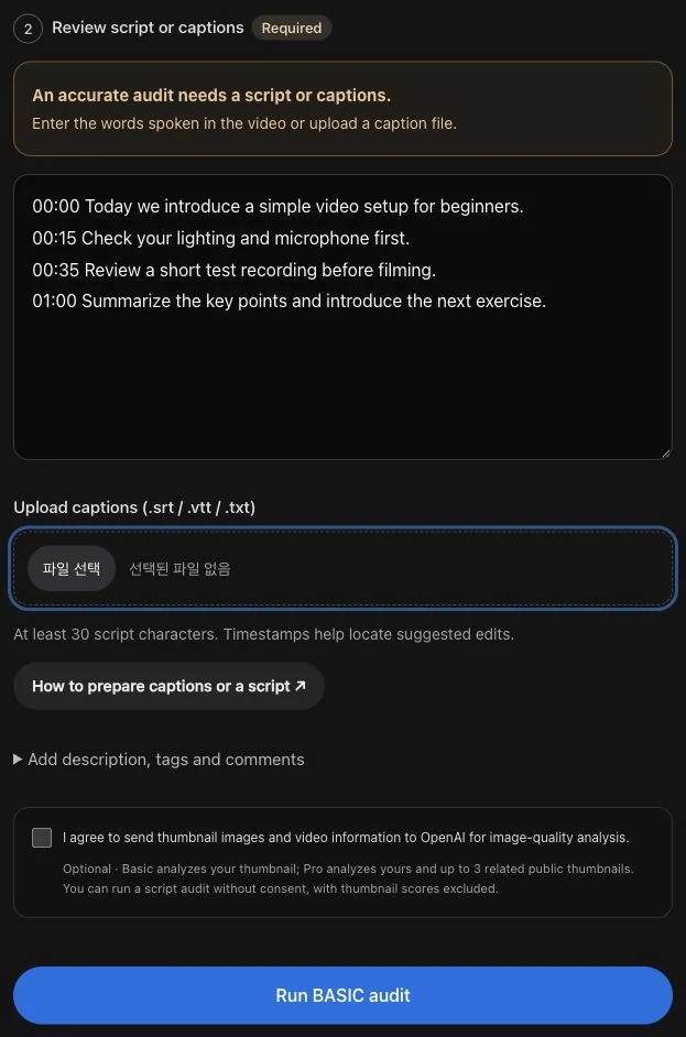 VIDEOudit script field with an example script and Run audit button
